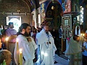 Slika0218